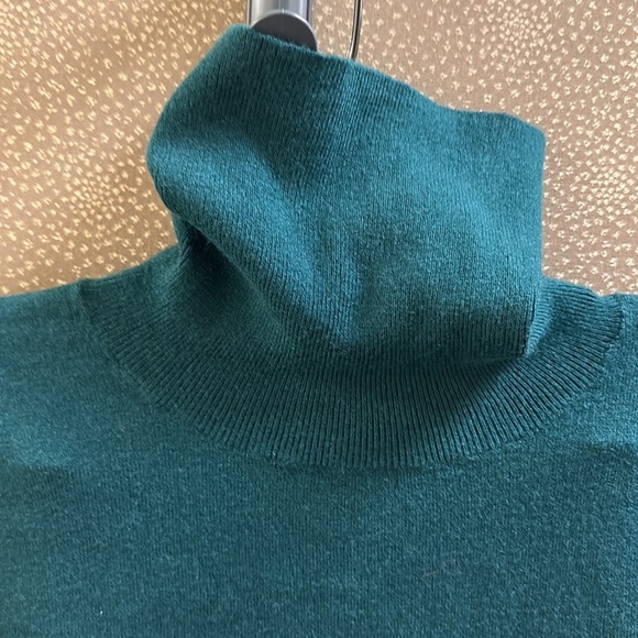 🔥🔥🔥NEW Express Turtleneck Sweater - Picture 4 of 7